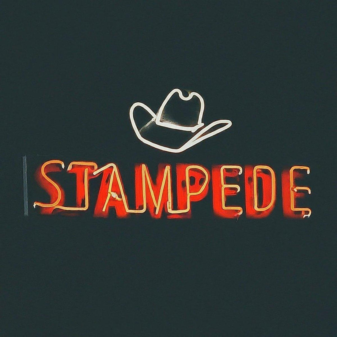 Calgary Stampede - Neonific