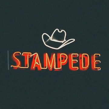 Calgary Stampede - Neonific