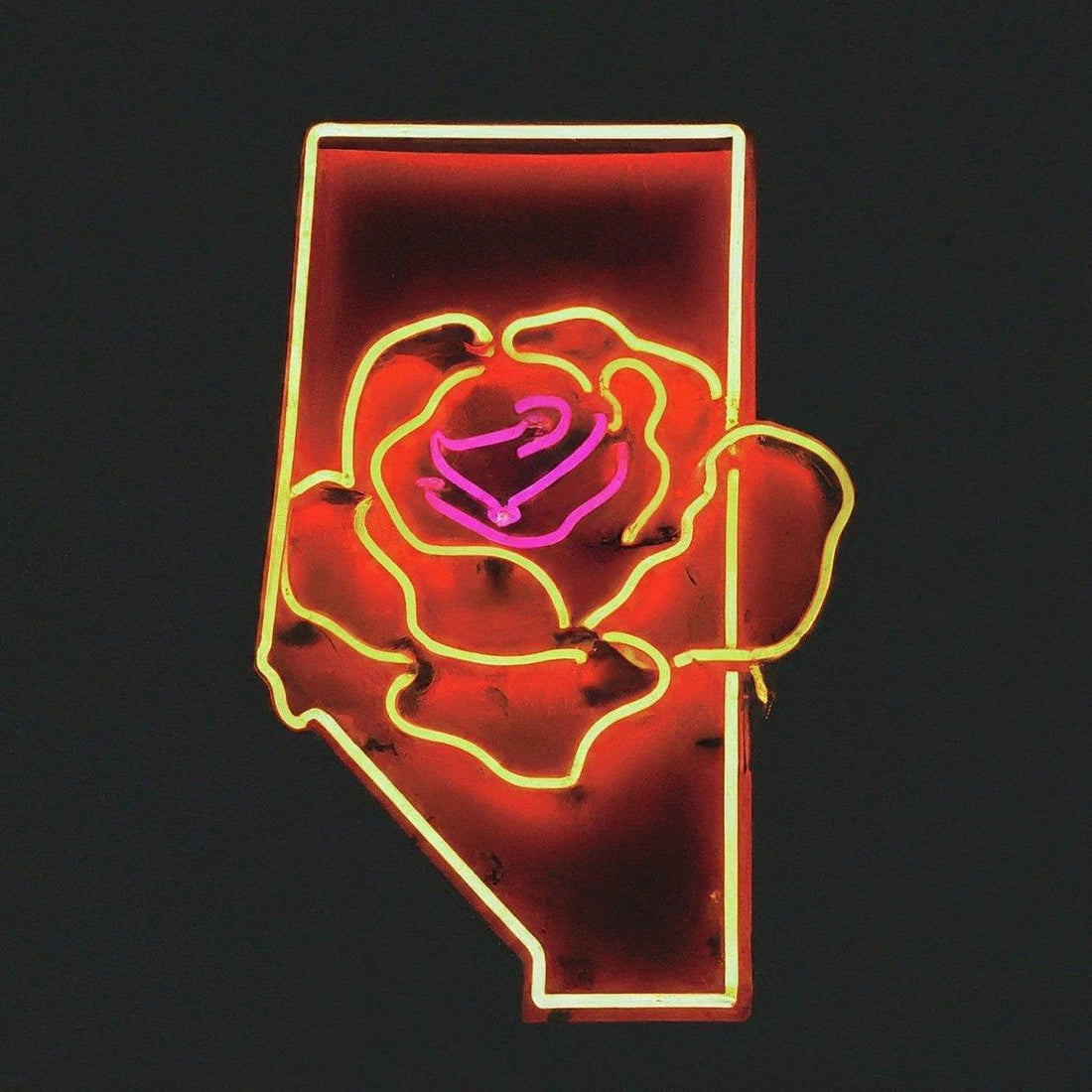 Alberta's Wild Rose - Neonific