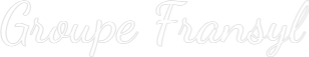 Enseigne LED néon personnalisée : Groupe Fransyl - Neonific