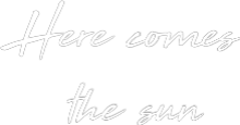 Enseigne LED néon personnalisée : Here comes 
...